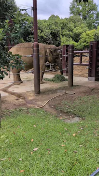 恩賜上野動物園に投稿された画像（2026/8/12）