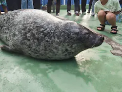 ゼロ距離水族館 伊勢シーパラダイスに投稿された画像（2026/8/12）