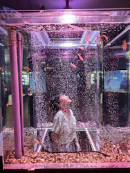 ゼロ距離水族館 伊勢シーパラダイスに投稿された画像（2026/8/12）