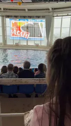 アクアワールド茨城県大洗水族館に投稿された画像（2026/8/12）