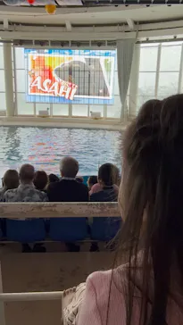 アクアワールド茨城県大洗水族館に投稿された画像（2026/8/12）