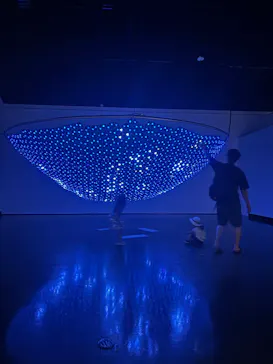 光と遊ぶ！超体験ミュージアム 魔法の美術館（北海道立近代美術館）に投稿された画像（2026/8/12）