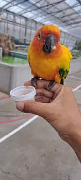 掛川花鳥園に投稿された画像（2026/8/12）