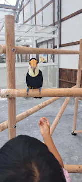 掛川花鳥園に投稿された画像（2026/8/12）