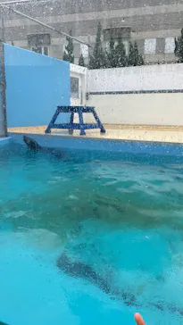 竹島水族館に投稿された画像（2026/8/12）