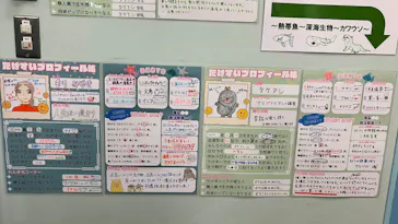 竹島水族館に投稿された画像（2026/8/12）