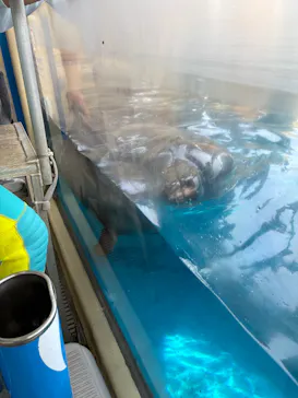 新江ノ島水族館に投稿された画像（2026/8/12）