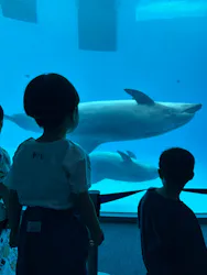 名古屋港水族館に投稿された画像（2026/8/12）