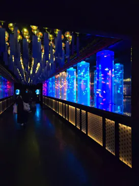 アートアクアリウム美術館 GINZAに投稿された画像（2026/8/12）