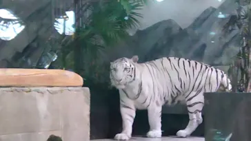 NIFREL（ニフレル）に投稿された画像（2026/8/12）