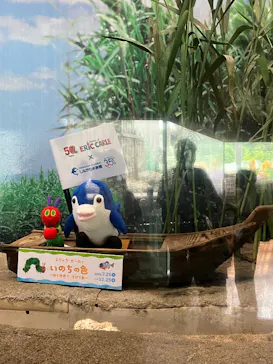しながわ水族館に投稿された画像（2026/8/12）