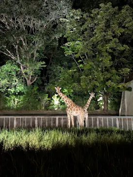名古屋市東山動植物園に投稿された画像（2026/8/12）