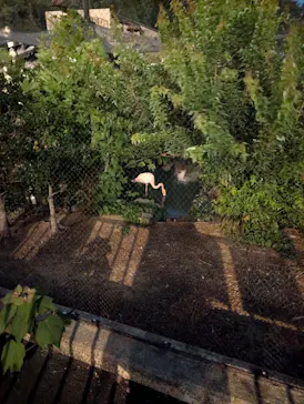 名古屋市東山動植物園に投稿された画像（2026/8/12）