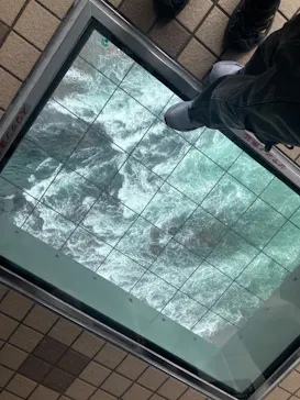徳島県立 渦の道に投稿された画像（2026/8/12）