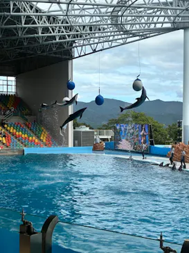 アドベンチャーワールドに投稿された画像（2026/8/12）