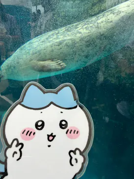 京都水族館に投稿された画像（2026/8/12）