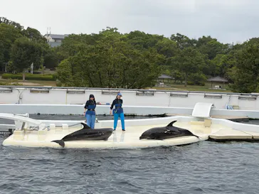 京都水族館に投稿された画像（2026/8/12）