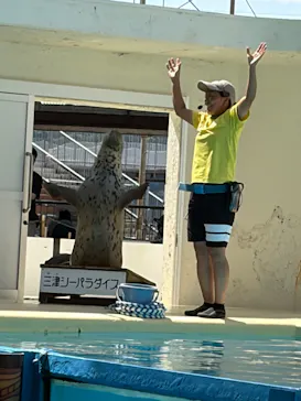 伊豆・三津シーパラダイスに投稿された画像（2026/8/12）