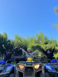 バギーマウンテン　ナンバーナインに投稿された画像（2026/8/12）