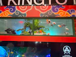 沖縄金魚ミュージアムに投稿された画像（2026/8/12）