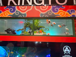 沖縄金魚ミュージアムに投稿された画像（2026/8/12）