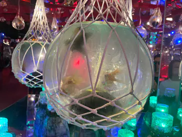 沖縄金魚ミュージアムに投稿された画像（2026/8/12）