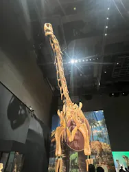 福井県立恐竜博物館に投稿された画像（2026/8/12）