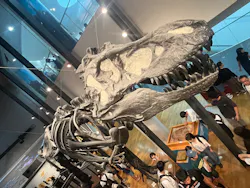 福井県立恐竜博物館に投稿された画像（2026/8/12）