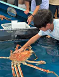 竹島水族館に投稿された画像（2026/8/12）