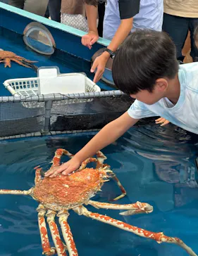 竹島水族館に投稿された画像（2026/8/12）
