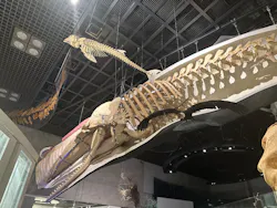 国立科学博物館に投稿された画像（2026/8/12）
