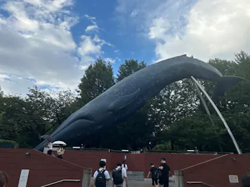 国立科学博物館に投稿された画像（2026/8/12）