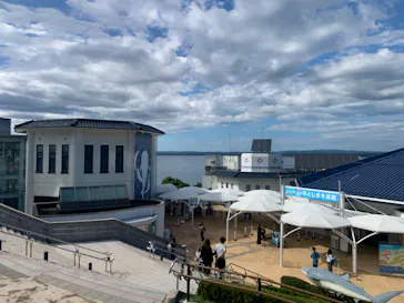 のとじま水族館に投稿された画像（2026/8/12）