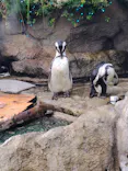 サンシャイン水族館に投稿された画像（2026/8/12）