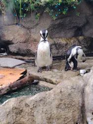 サンシャイン水族館に投稿された画像（2026/8/12）