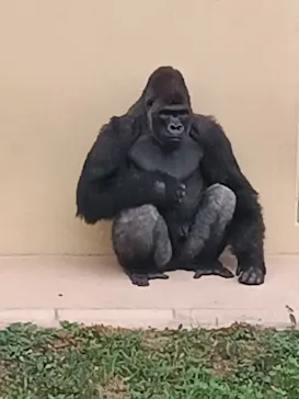 名古屋市東山動植物園に投稿された画像（2026/8/12）