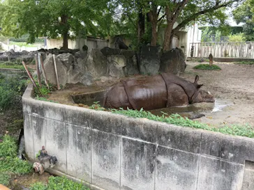 名古屋市東山動植物園に投稿された画像（2026/8/12）