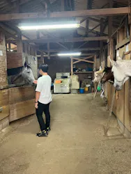 風来里（ふらり）馬小屋に投稿された画像（2026/8/12）