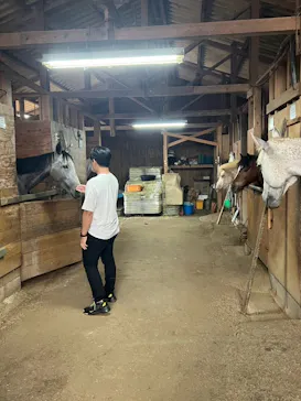 風来里（ふらり）馬小屋に投稿された画像（2026/8/12）