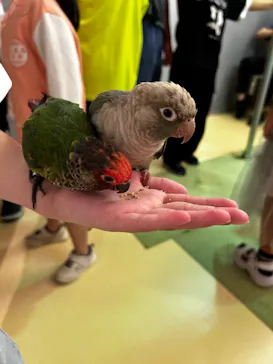 Moff animal cafe イオンモール幕張新都心店に投稿された画像（2026/8/12）