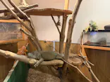伊豆シャボテン動物公園に投稿された画像（2026/8/12）