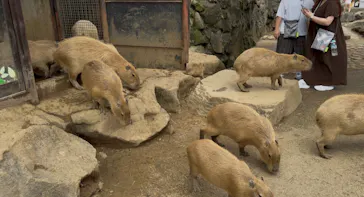 伊豆シャボテン動物公園に投稿された画像（2026/8/12）