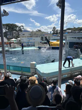 越前松島水族館に投稿された画像（2026/8/12）