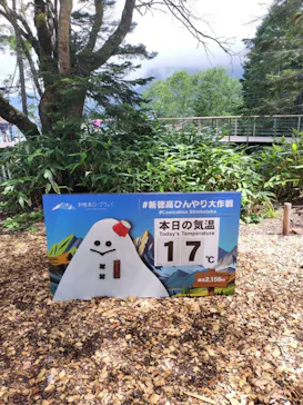 新穂高ロープウェイに投稿された画像（2026/8/12）