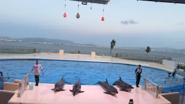 マリンワールド海の中道に投稿された画像（2026/8/12）