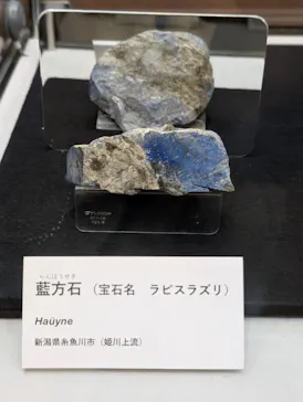 国立科学博物館に投稿された画像（2026/8/12）