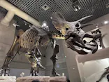 国立科学博物館に投稿された画像（2026/8/12）