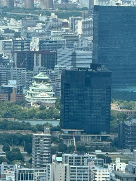 ハルカス300(展望台)に投稿された画像（2026/8/12）