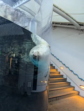 京都水族館に投稿された画像（2026/8/12）