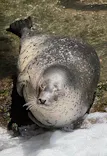 伊豆シャボテン動物公園に投稿された画像（2026/8/13）